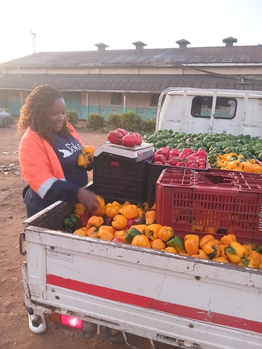 Red and yellow Mhiripiri