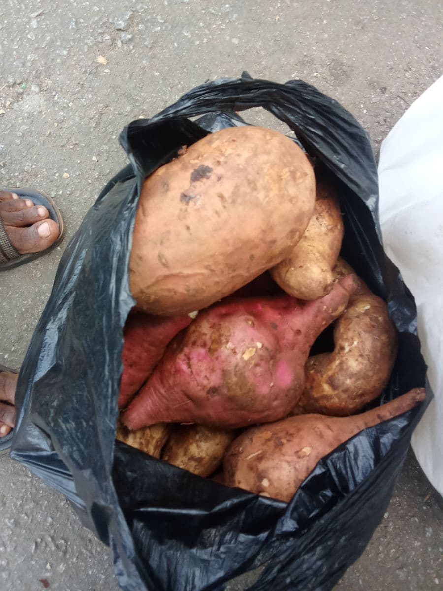 Sweet potatoes