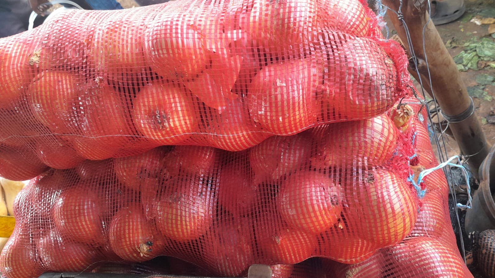 BULK LIST
Hanyanisi $10 pocket 10kg
Mbatatisi $11.50 15 kg
Butternut $ 1 per kg
Location Mbare