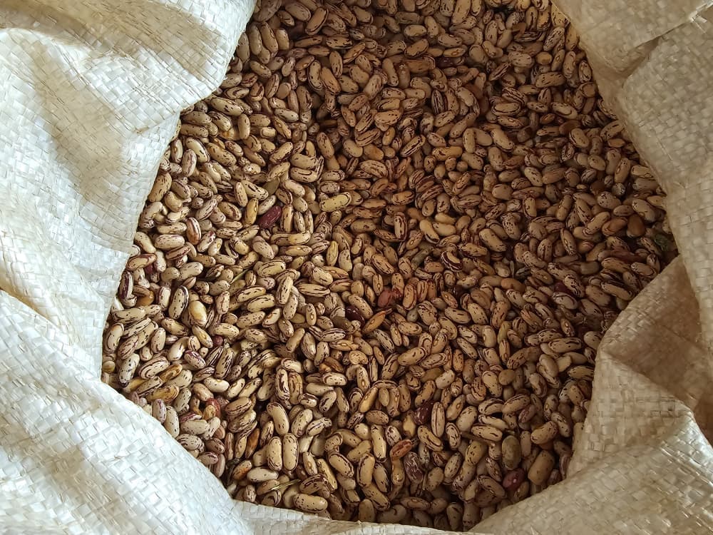Sugarbeans