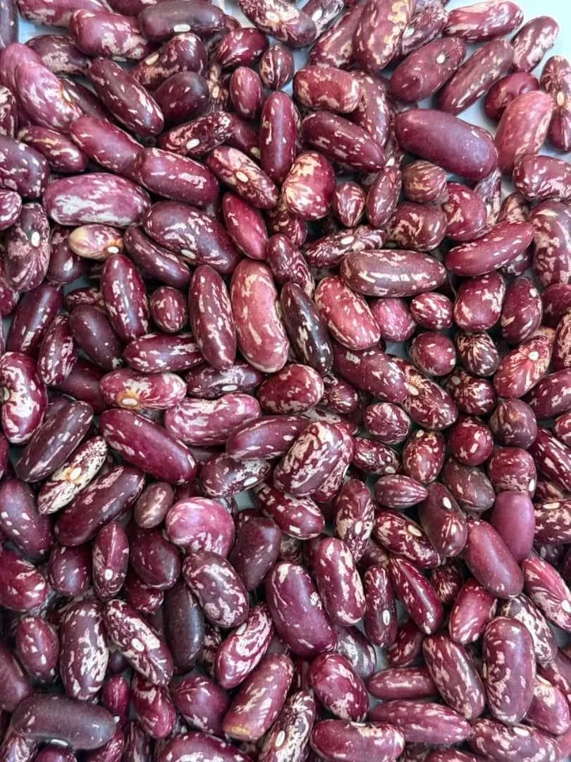 Beans