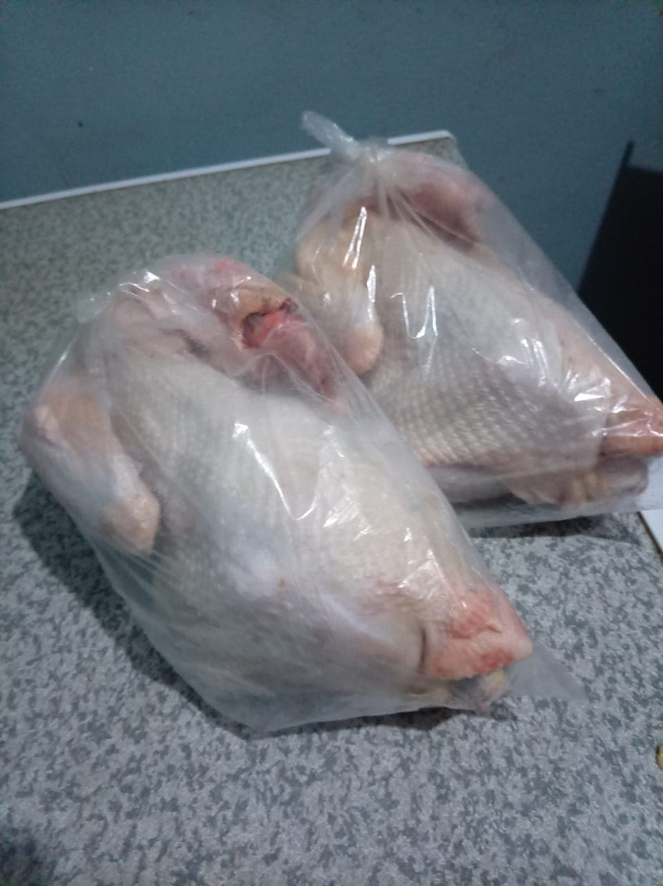 Chickens