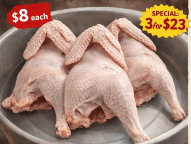 Chickens