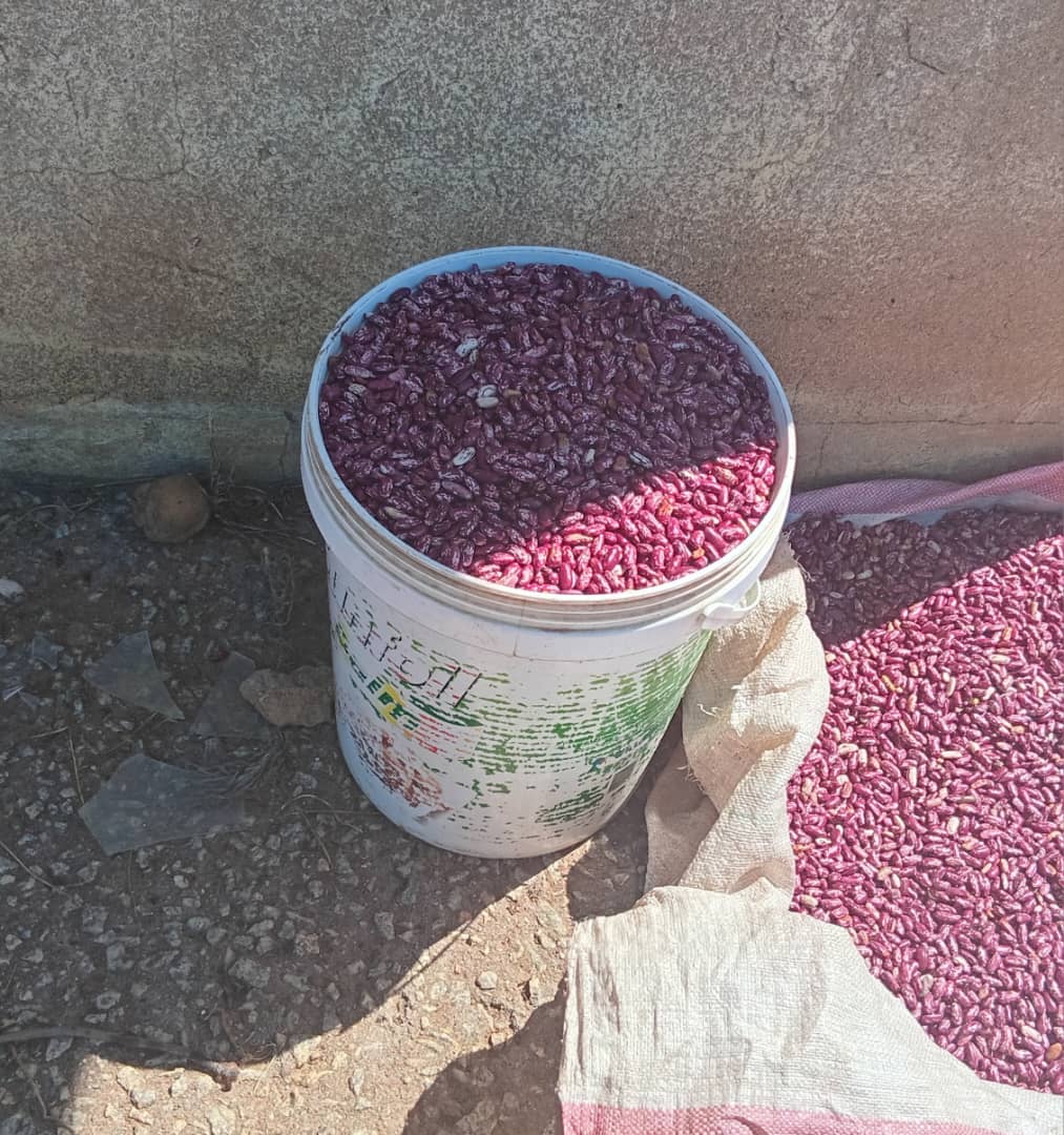 Beans