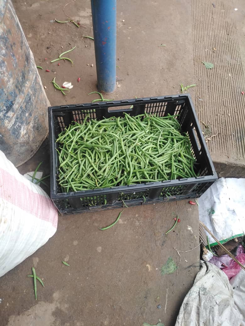 Beans