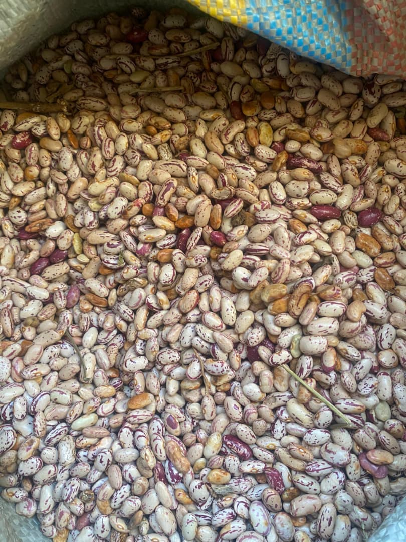 Beans