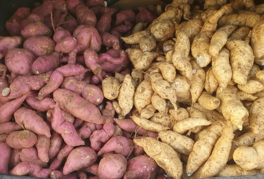 Sweet Potatoes