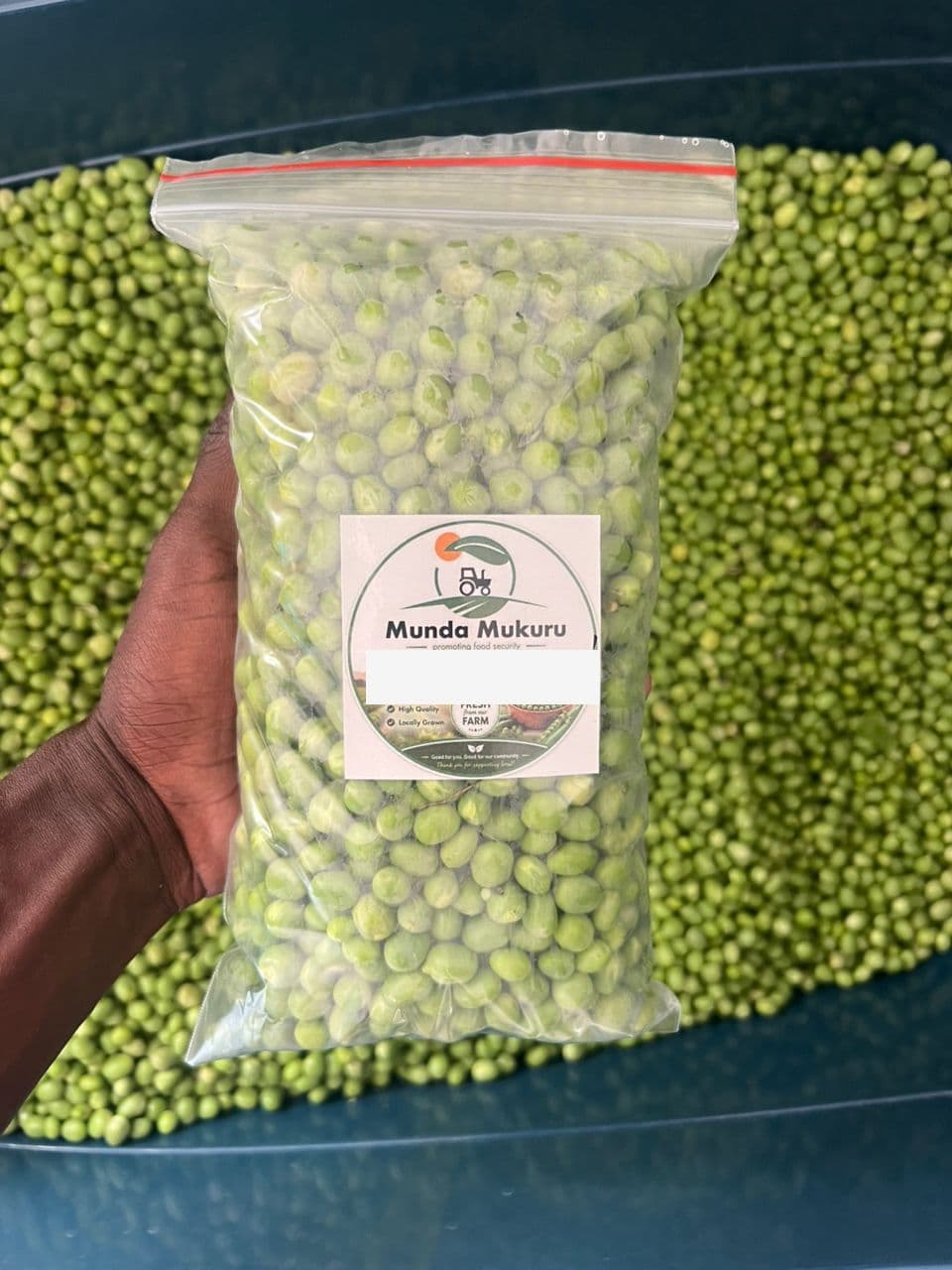 Green Beans