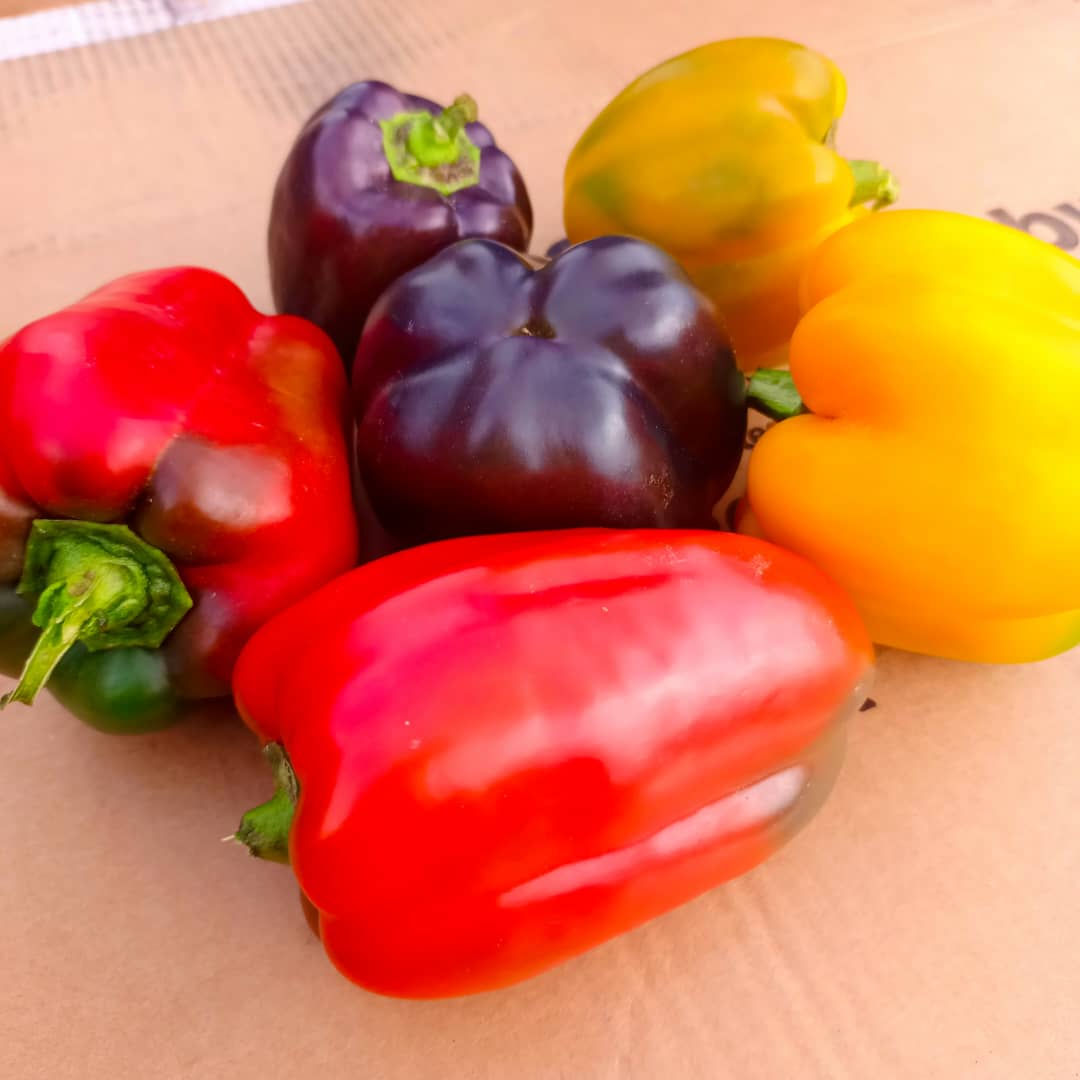 red/yellow pepper