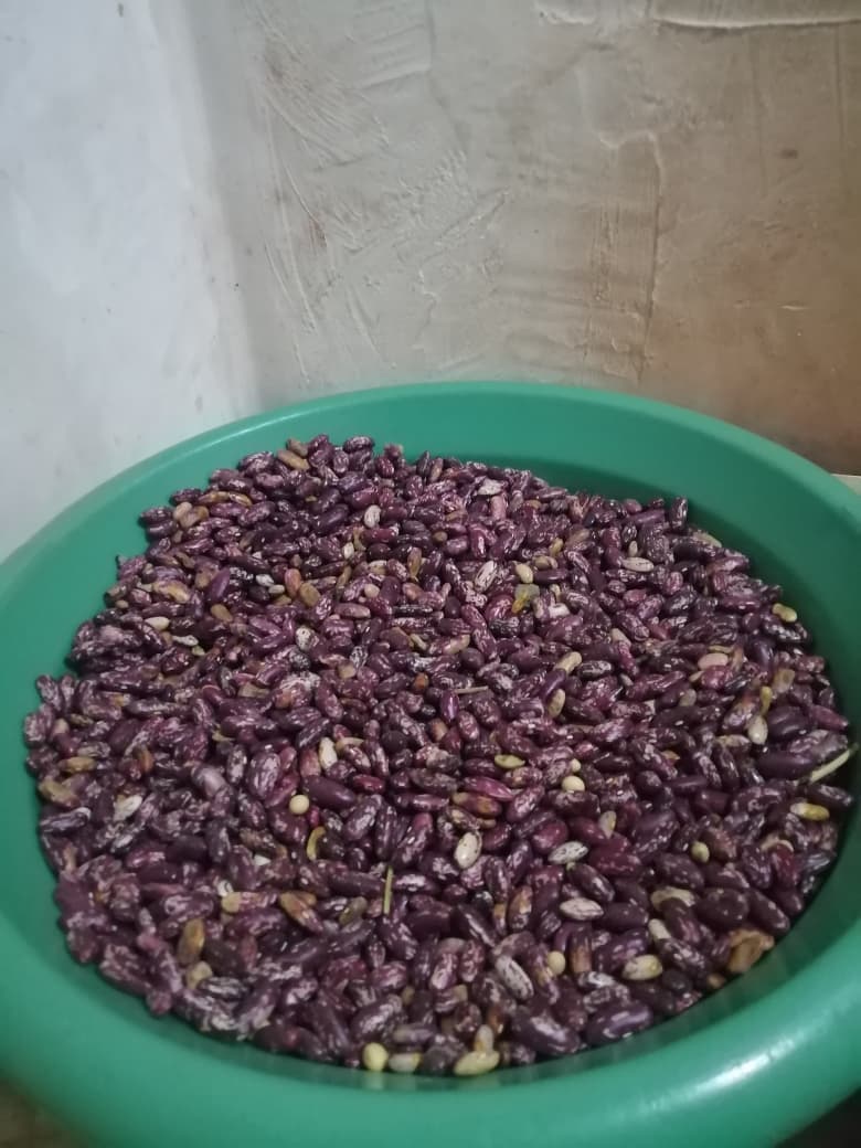 Beans